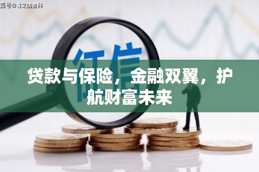 岳塘贷款与保险，金融双翼，护航财富未来