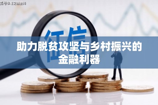 岳塘助力脱贫攻坚与乡村振兴的金融利器