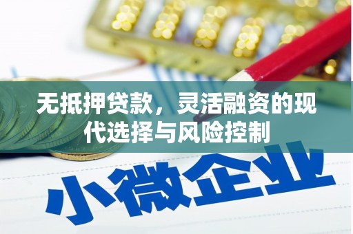 岳塘无抵押贷款，灵活融资的现代选择与风险控制