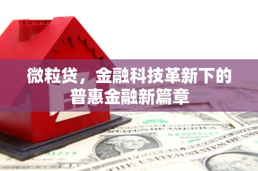 岳塘微粒贷，金融科技革新下的普惠金融新篇章