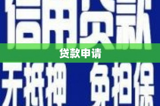 岳塘贷款申请