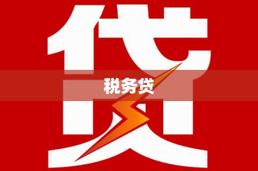 岳塘税务贷