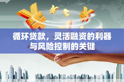 岳塘循环贷款，灵活融资的利器与风险控制的关键