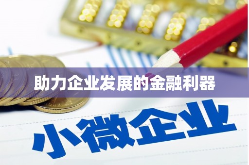 岳塘助力企业发展的金融利器
