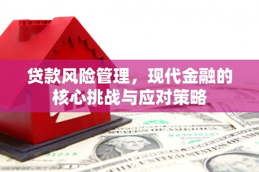 岳塘贷款风险管理，现代金融的核心挑战与应对策略