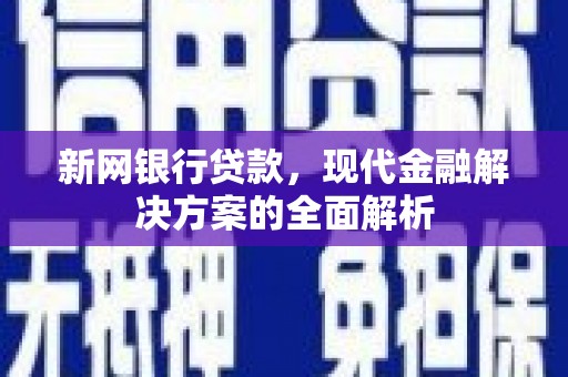 岳塘新网银行贷款，现代金融解决方案的全面解析