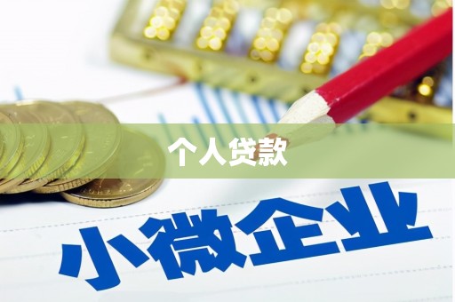岳塘个人贷款