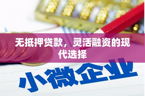 岳塘无抵押贷款，灵活融资的现代选择