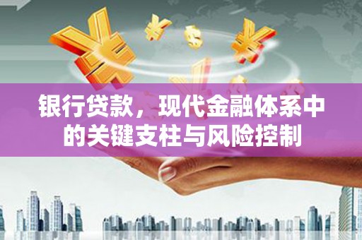 岳塘银行贷款，现代金融体系中的关键支柱与风险控制