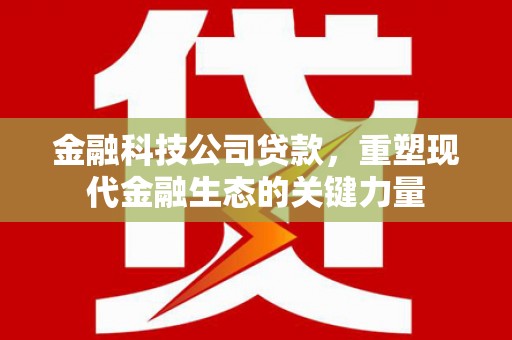 岳塘金融科技公司贷款，重塑现代金融生态的关键力量