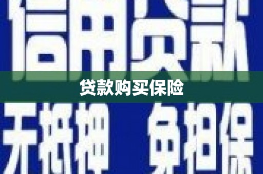 岳塘贷款购买保险