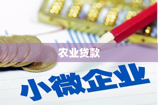 岳塘农业贷款