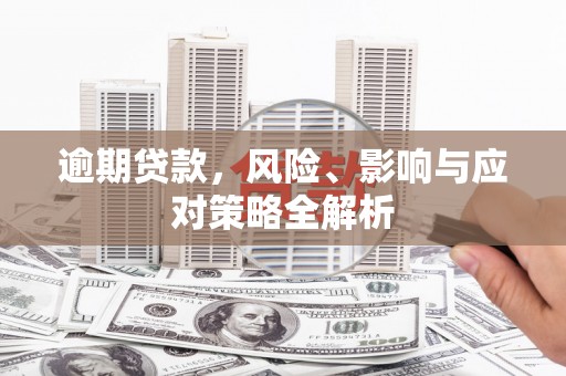 岳塘逾期贷款，风险、影响与应对策略全解析