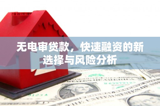 岳塘无电审贷款，快速融资的新选择与风险分析