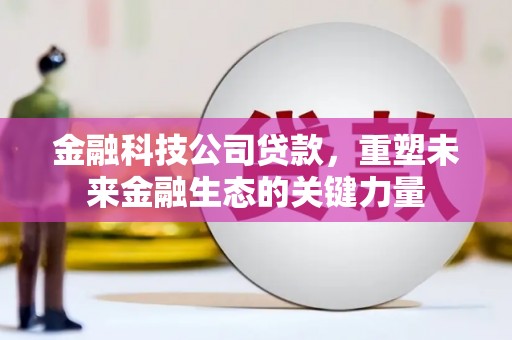 岳塘金融科技公司贷款，重塑未来金融生态的关键力量