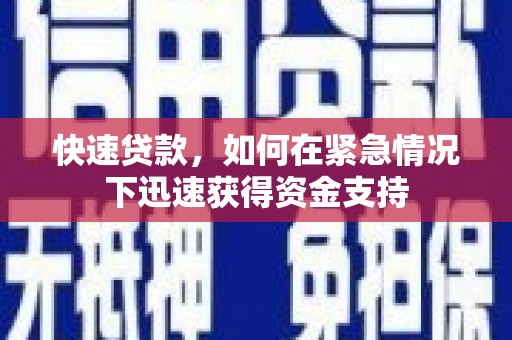 岳塘快速贷款，如何在紧急情况下迅速获得资金支持