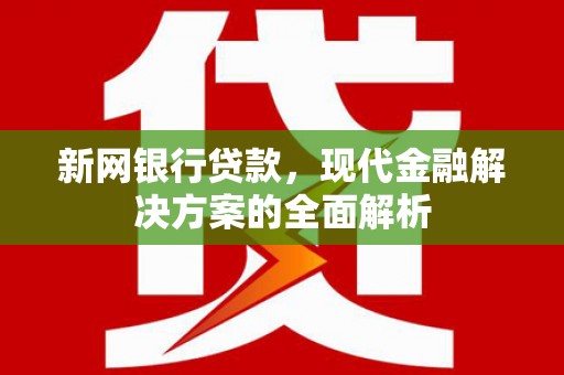岳塘新网银行贷款，现代金融解决方案的全面解析