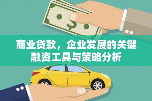 岳塘商业贷款，企业发展的关键融资工具与策略分析