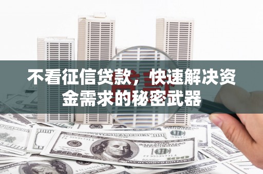 岳塘不看征信贷款，快速解决资金需求的秘密武器