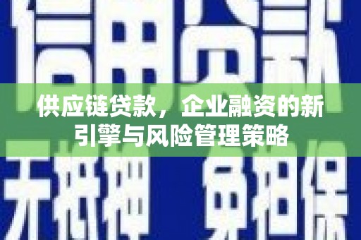 岳塘供应链贷款，企业融资的新引擎与风险管理策略