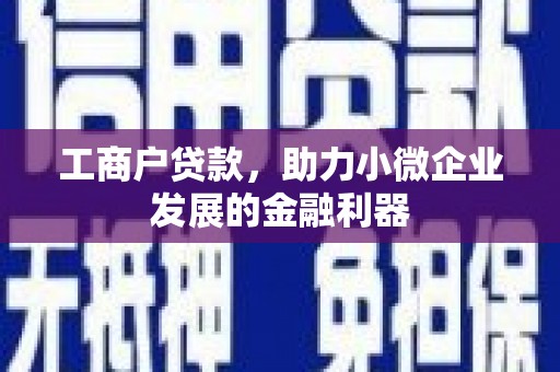 岳塘工商户贷款，助力小微企业发展的金融利器
