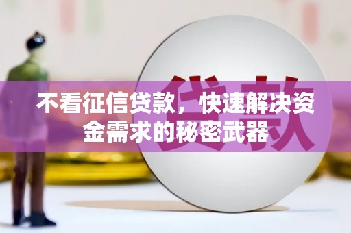 岳塘不看征信贷款，快速解决资金需求的秘密武器