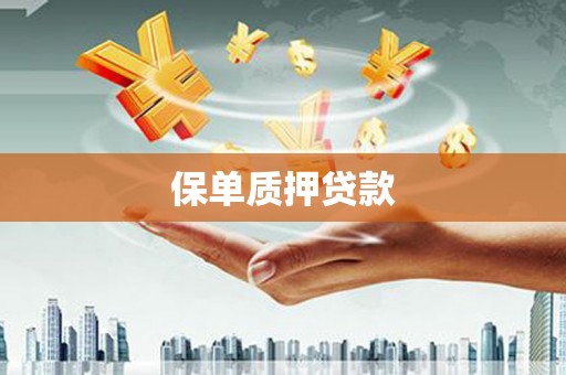 岳塘保单质押贷款