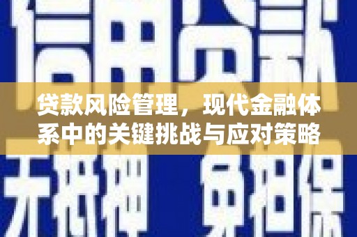 岳塘贷款风险管理，现代金融体系中的关键挑战与应对策略
