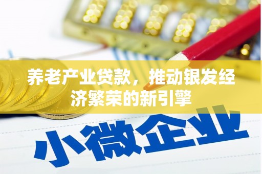 岳塘养老产业贷款，推动银发经济繁荣的新引擎
