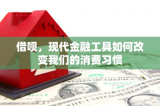 岳塘借呗，现代金融工具如何改变我们的消费习惯