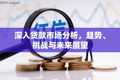 岳塘深入贷款市场分析，趋势、挑战与未来展望