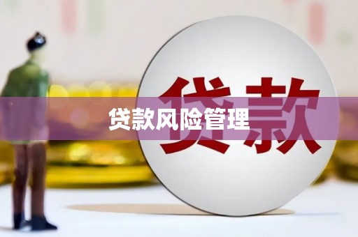 岳塘贷款风险管理