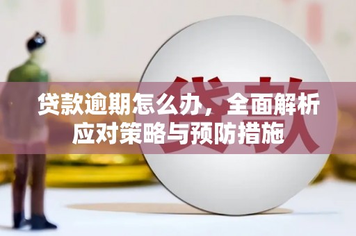 岳塘贷款逾期怎么办，全面解析应对策略与预防措施