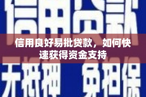 岳塘信用良好易批贷款，如何快速获得资金支持