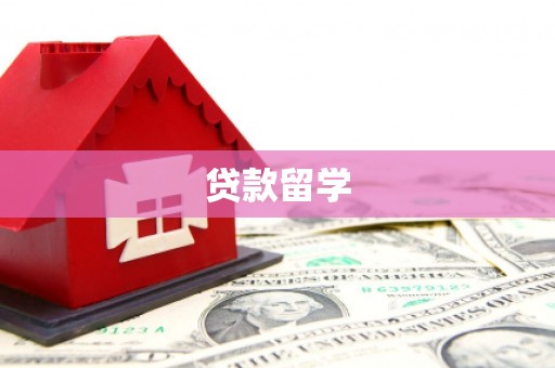 岳塘贷款留学