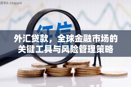 岳塘外汇贷款，全球金融市场的关键工具与风险管理策略