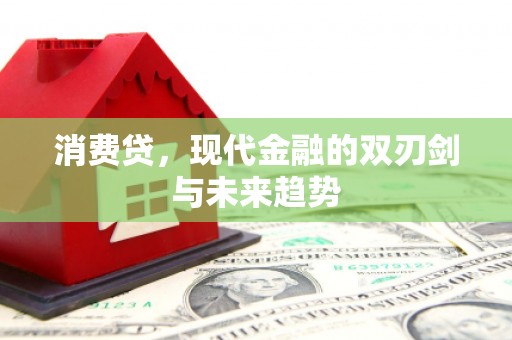 岳塘消费贷，现代金融的双刃剑与未来趋势