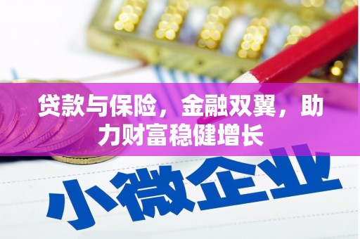 岳塘贷款与保险，金融双翼，助力财富稳健增长