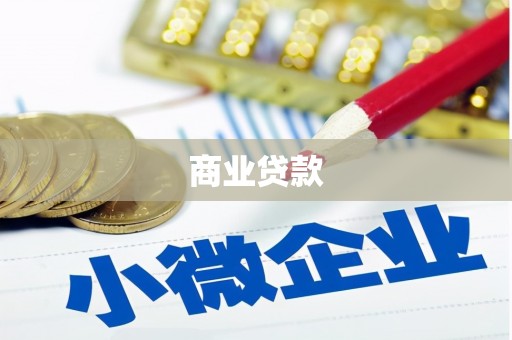 岳塘商业贷款