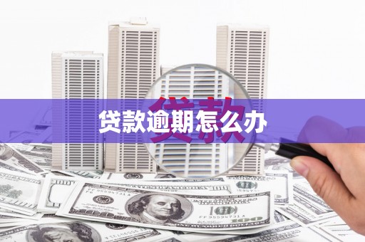 岳塘贷款逾期怎么办
