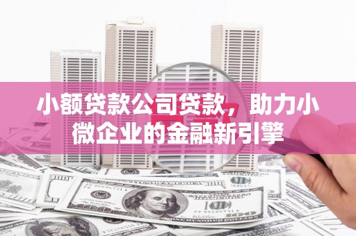 岳塘小额贷款公司贷款，助力小微企业的金融新引擎