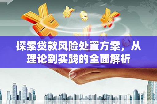 岳塘探索贷款风险处置方案，从理论到实践的全面解析