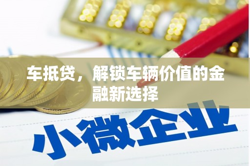 岳塘车抵贷，解锁车辆价值的金融新选择
