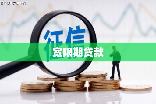 岳塘宽限期贷款