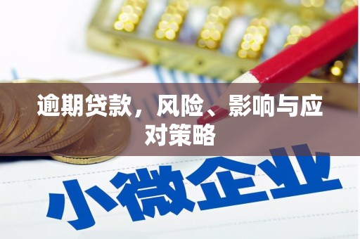 岳塘逾期贷款，风险、影响与应对策略