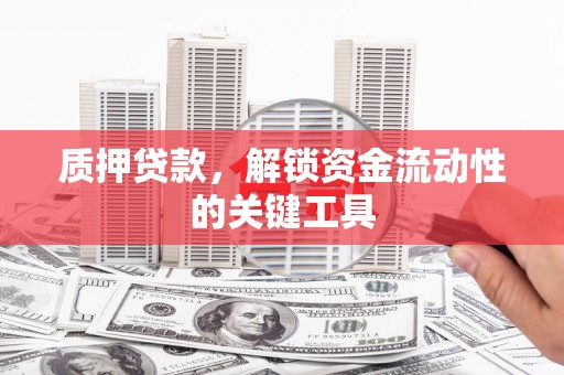 岳塘质押贷款，解锁资金流动性的关键工具