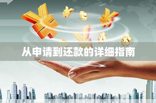 岳塘从申请到还款的详细指南
