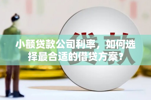 岳塘小额贷款公司利率，如何选择最合适的借贷方案？