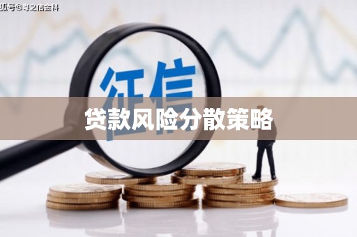 岳塘贷款风险分散策略