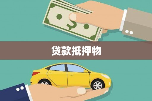 岳塘贷款抵押物